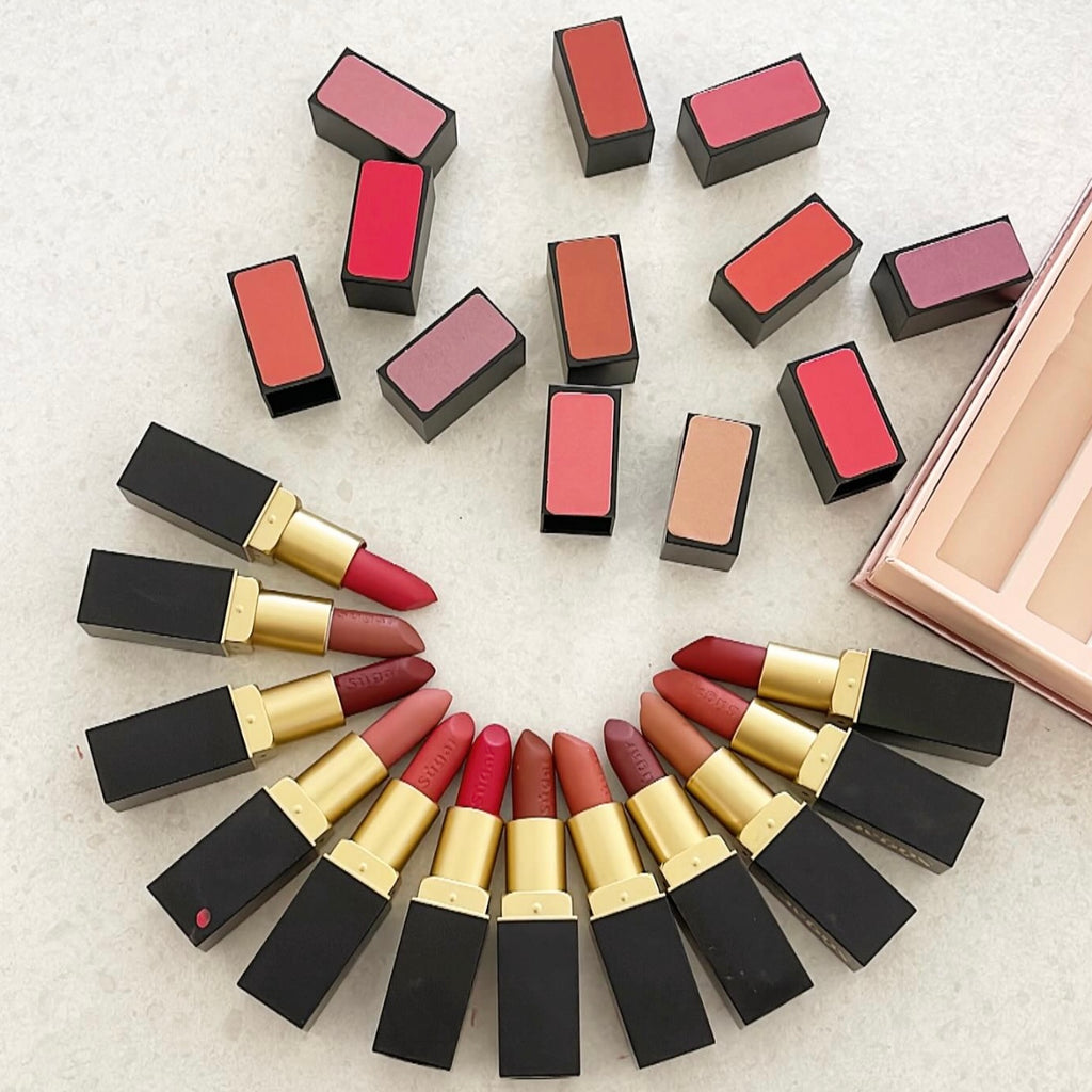 12 Colors High Pigment Colors Matte Lipsticks