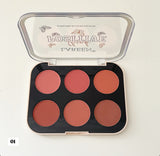 Code 01 Think Positive 6 Colors Matte Powder Blush Palette