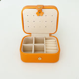 Orange Bubbles Accessories Organizer