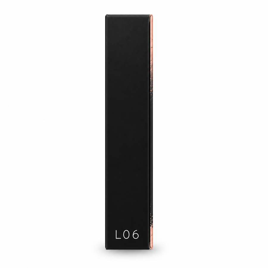 L06 Lips Makeup Set Gift Set